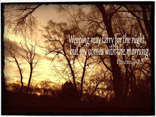 Joy in the morning 11.19